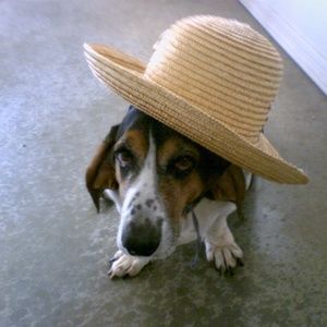 Meet your Posher, Tiff